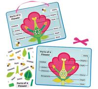 Baker Ross FN459 Kits de biología de las partes de las flores - Paquete de 4, STEM, ciencia, matemáticas y ayudas para el aprendizaje para niños y colegios