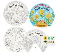 Baker Ross FN468 Ruedas adhesivas para colorear con el ciclo de vida del girasol - Paquete de 5, STEM, ciencia, matemáticas y material didáctico para niños y colegios