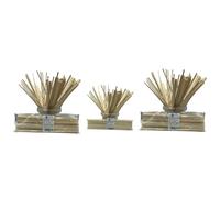 Baking Beauty and Beyond - Pinchos cuadrados de madera de abedul de grado alimenticio de algodón de azúcar, hilo dental, resistentes, suaves y ecológicos, aptos para alimentos, para hacer hilo dental