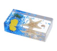 Balacoo Pisapapeles de Forma de Mar de Resina Gruesa Función Educativa y Decorativa para Aula, Herramienta Científica Adecuada Coleccionistas Marinos