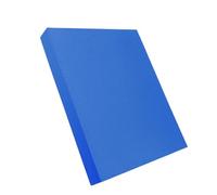 Balance Pad - Almohadilla de apoyo grande de 40 cm, almohadilla de rodillas de 40 cm, hardware universal para entrenamiento de fitness, cuerpo de TPE sintético de 300 g | Cojín para ejercicios de