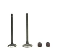 balancín escape Ajuste para Suzuki AN125 Burgman 125 VS125 125cc 12912-20E-00000 Kit de válvula de escape de admisión sello de aceite pieza distribución motor