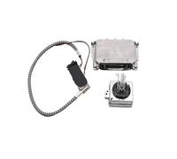 Balasto HID Faros Xenón para GMC para Acadia 3.6L 2009 2010 2011 89034934 Xenon HID Balasto Faro Cable Bombilla