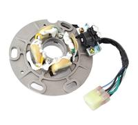 Balastos HID automóviles Bobina de estator Motocicleta para YZ250 YZ 250 1996 1997 1998 4SR-85560-00