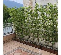 Balcón Terraza Patio Valla De Bambú Artificial, Pantalla De Valla De Privacidad De Oficina Pared Vegetal, Separador De Habitación De Planta De Imitación Interior Decoración del Hogar, 1,5/1,