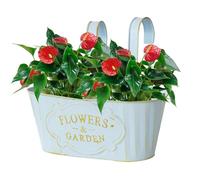 Balcony Planter - Hierro 28x24x9.5cm, Olla de la Planta de Metal, de Drenaje | Hangable Flower Box, Decoración de jardín al Aire Libre para balcón, Patio, jardín, Ventana