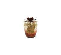 Bali Mantra Vela de cristal de hibisco, grosella roja, 500 g