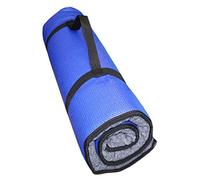 Ball Dynamics Int. LLC K9FITbed - Alfombra de Suelo con póster para Perro, Talla M/L, Color Azul
