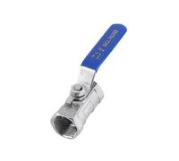 Ball Valve Stainless Steel Ball Valve Ss304 Female Thread (3/4'bsp)