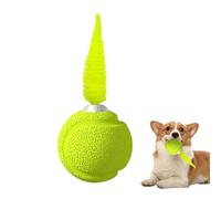 Ball With Feathers, Cat Ball With Feathers, Balance Pounce With Sound - Bouncy Interactive Exercise Entertainment Training Tool For Indoor Cats Kittens Outdoor Play Boredom Relief Fun Activity