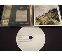 Ballboy - A Guide for Daylight Hours