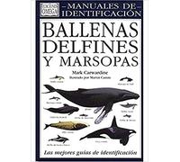 Ballenas Delfines Y Marsopas Una Guia Visual De Todos Los Cetace Os