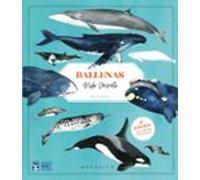 Ballenas. Vida Secreta (3ª Edición Con Póster Coloreable)