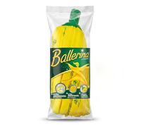 Ballerina Fregona Amarilla Original | Desde 1986 | Alta Absorción | Compatible Palos Estándar Rosca y Clip | Limpieza Higiénica | Pack 1 Unidad