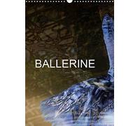 Ballerine (calendrier mural 2019 din a3 vertical) - photos de cours de ballet et de chaussons de dan (Calvendo Art)