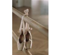 Ballet Shoes Journal, Ballet Pointe Shoes Journal, Real Ballet Shoes on the Barre Journal, Ballet Notebook, 6 x 9 Paperback Diary, 120 Lined Pages
