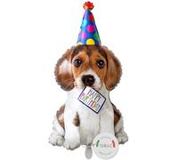 balloa Globo de aluminio XXL con diseño de perro Happy Birthday, globo de helio, globo de cumpleaños, fiesta infantil, decoración, globo de cumpleaños con motivo de perro para niños y niñas