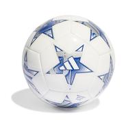 Balón adidas UCL Group Stage 2023/24 tamaño 4