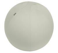 Balón de asiento Leitz Ergo Active 65cm Gris Antideslizante