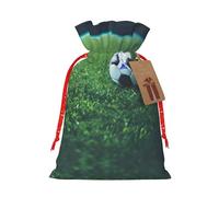 Balón de fútbol sobre hierba, 1 bolsa con cordón de 4.7 x 6.9 pulgadas, duradera y elegante, ideal para regalos personalizados de Halloween