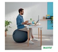 Leitz Balón de Asiento Ergo Cosy Active 65 cm, asa, funda lavable, incluye bomba – Gris terciopelo