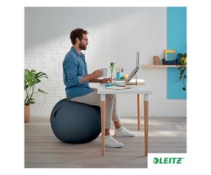 Balón Ergonómico de Asiento Leitz Ergo Cosy Active - Gris - 65 cm