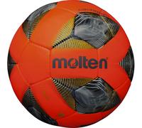 Balón Molten Entrainement tamaño 4
