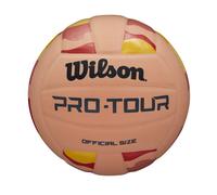 Balón Wilson Pro Tour tamaño 5