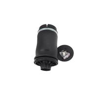 Balona Aire Para W164 W166ML 1643200625 | 1663200325 Fuelle Resorte Puntal Choque Suspensión Neumática Trasera Amortiguador Neumático