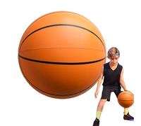 Baloncesto silencioso, baloncesto sin ruido interior | Baloncesto rebote silencioso - Bola silenciosa de entrenamiento, juguetes de baloncesto sin aire de bajo ruido, pelota deportiva rebo