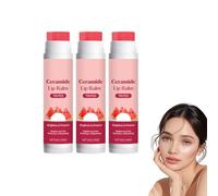 Bálsamo labial teñido de sandía en barra con Aroma de sandía dulce y humectante labial para el cuidado diario | El diseño 2 en 1 incluye exfoliante exfoliante y mascarilla nocturna (3 piezas)