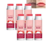 Bálsamo labial tintado con sandía - Cuidado labial hidratante natural con vitamina E, cuidado labial no adhesivo para labios secos o ásperos, para cada día suavidad (6 unidades)