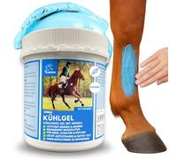 Bálsamo para Caballos 1000ml Gel Refrescante con Pomada de Árnica Gel Extra Fuerte I Tendones, Ligamentos y Músculos I Pomada Refrescante I Pomada con Gel Crema de Árnica Masaje para Músculos