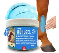 Bálsamo para Caballos 500ml Gel Refrescante con Pomada de Árnica Gel Extra Fuerte I Tendones, Ligamentos y Músculos I Pomada Refrescante I Pomada con Gel Crema de Árnica Masaje para Músculos
