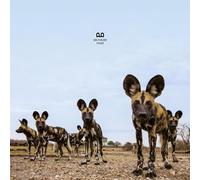 Balthazar - Fever [Vinilo]