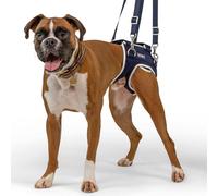 Balto Life Hip Displasia Brace - Arnés de soporte de cadera para perro - Soporte de compresión ajustable en el extremo trasero - Distribuye el peso uniformemente ayuda a prevenir nuevas lesiones -