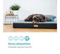 Balu Cama para perros Cojín para perros | Lavable | Ortopédica | Antideslizante | Espuma viscoelástica transpirable | Tamaño XXL (120 x 10 x 100 cm) Brunolie