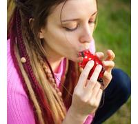 Baluue 2 piezas Ocarina Cerámica Tortuga Pequeña Instrumento Portátil para Principiantes Diseño Adorable Sonido y Duradero Regalo Creativo para Músicos y Decoración