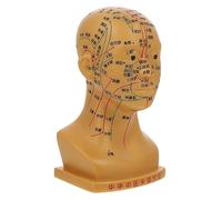 Baluue Modelo Educativo De Acupuntura De Cabeza Humana De Herramienta Didáctica Para Enseñanza Escuelas y Hospitales Modelo De Masaje Facial y Puntos Acupunturales Diseño Creativo y