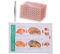 Baluue Parches de Acupresión para Orejas 1200 Piezas con Pinzas y Guía de Puntos Auriculares Adhesivos Transparentes para Estimulación del Punto de Acupuntura Cuidado de Oídos y Masaje