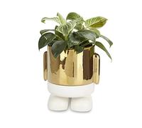 Balvi Maceta MrStandy Gold Edition Color Dorado Esta Elegante Maceta no Pasa desapercibida en tu Esta