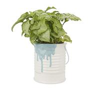Balvi Maceta Painty Color Azul y Blanco En Forma de Bote de Pintura con asa metálica Diámetro: 16 cm
