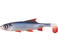 Balzer Shirasu Clone Shad 136770215 - Pez de goma para lucio y lucioperca (150 mm, 15 cm)