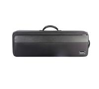BAM 2002B Artisto Oblong Violin Case Black