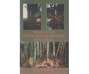 bamboos_of_sikkim_india_,_bhutan,_and_nepal