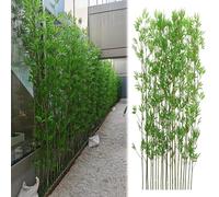 Bambú Árboles Artificiales 2m 1,8m 1,5m 1,2m 1m Alto Árbol De Bambú Artificial 5 10 20 30 40 50 100 Poste, Patio Paisajismo Simulación Plantas Artificiales Árbol, Partición Comercial Valla De Privacid