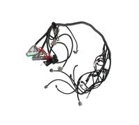 Bamjour LS Swap Arnés de Cableado Independiente Impulsado por Cable DBW para Transmisiones 4L60E 4L70E 4L75E, Compatible con Motores LS Gen III 1997-2004