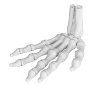 BAMTTOO Halloween Skeleton Hands Right Skeleton Hand Bones 3D Printed Toy Halloween Home Decoration Party Terror Scary Props