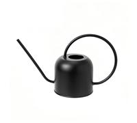 Bamworld Regadera Acero Inoxidable InteriorExterior para Plantas Hogar Regadera Pico Largo Plantas Interior Bonsái Jardín Exterior Flores Decorativa