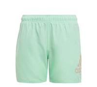 BAÑADOR ADIDAS-BOS CLX SL-IC7697 VERDE HOMBRE PLAYA